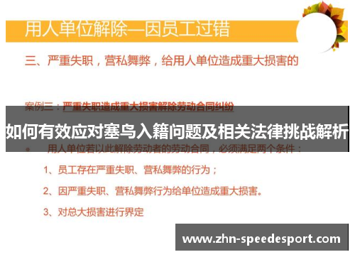 如何有效应对塞鸟入籍问题及相关法律挑战解析