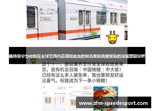 佩特曼宁为何能在全球范围内赢得如此高的知名度和喜爱背后的深层原因分析 佩特曼宁为何能在全球范围内赢得如此高的知名度和喜爱背后的深层原因分析