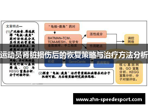 运动员肾脏损伤后的恢复策略与治疗方法分析